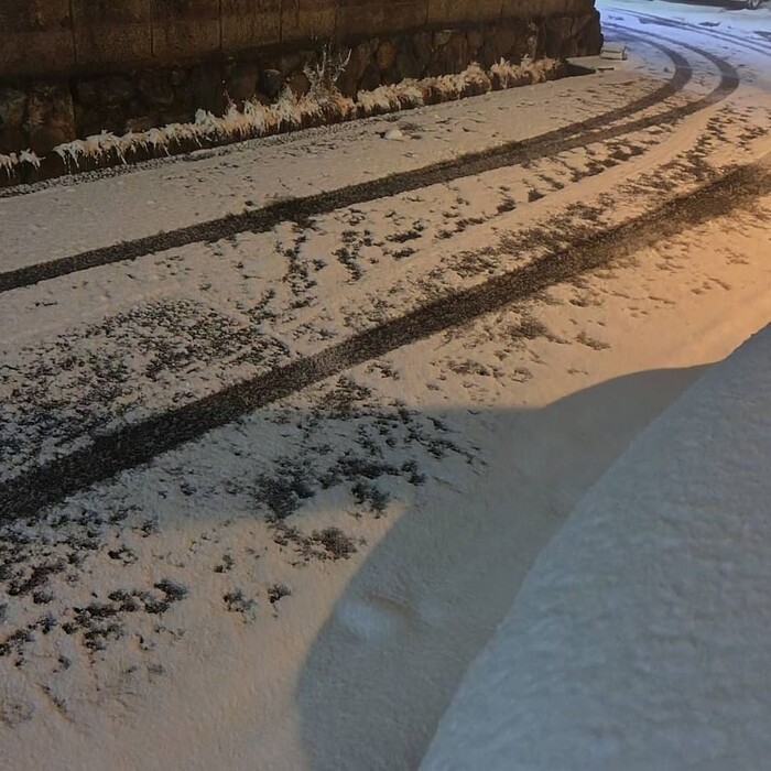画像240