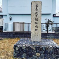 画像245