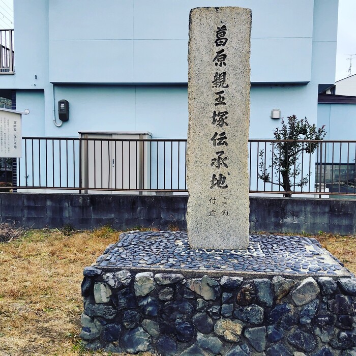 画像245