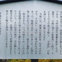 画像246