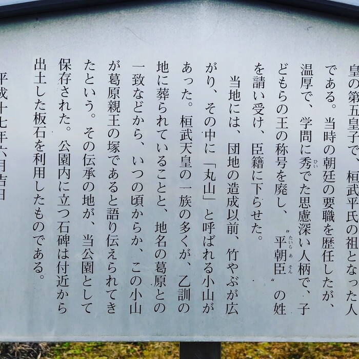 画像246