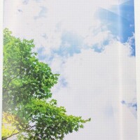 画像279