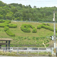 画像309